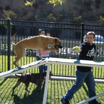 Carlson Bark Park photo 2